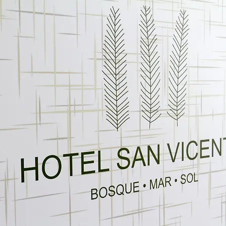 Duerming San Vicente Otel